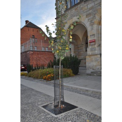 Osłona drzewa pionowa 40x30x150 cm z podstawą osłoną pod drzewo poziomą kwadratową realizacja zdjęcie